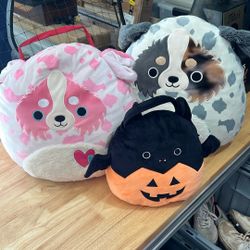 3 Squishmallows, 16” Australian Shepherd, 14” Valentines Dog, Black Cat Pumpkin Halloween plush Candy Bucket