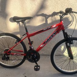 Mountain Bike 24 Inch