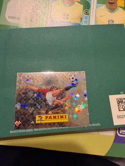 Fifa stickers panini