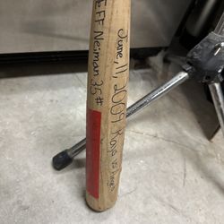 Pro Model Bat Baseball Bat 