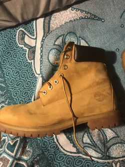 Used but like new timberlands