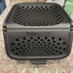 NEW Tupperware Garlic N All Keeper