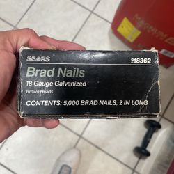 Brad Nails New 5000 In Box