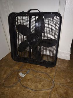 Fan