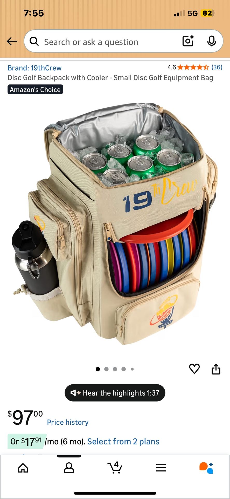 Disc Golf Bag