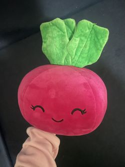Squishmallow stuffies