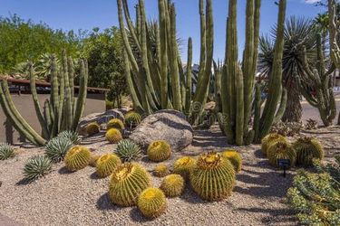 Trabajo de Jardinería