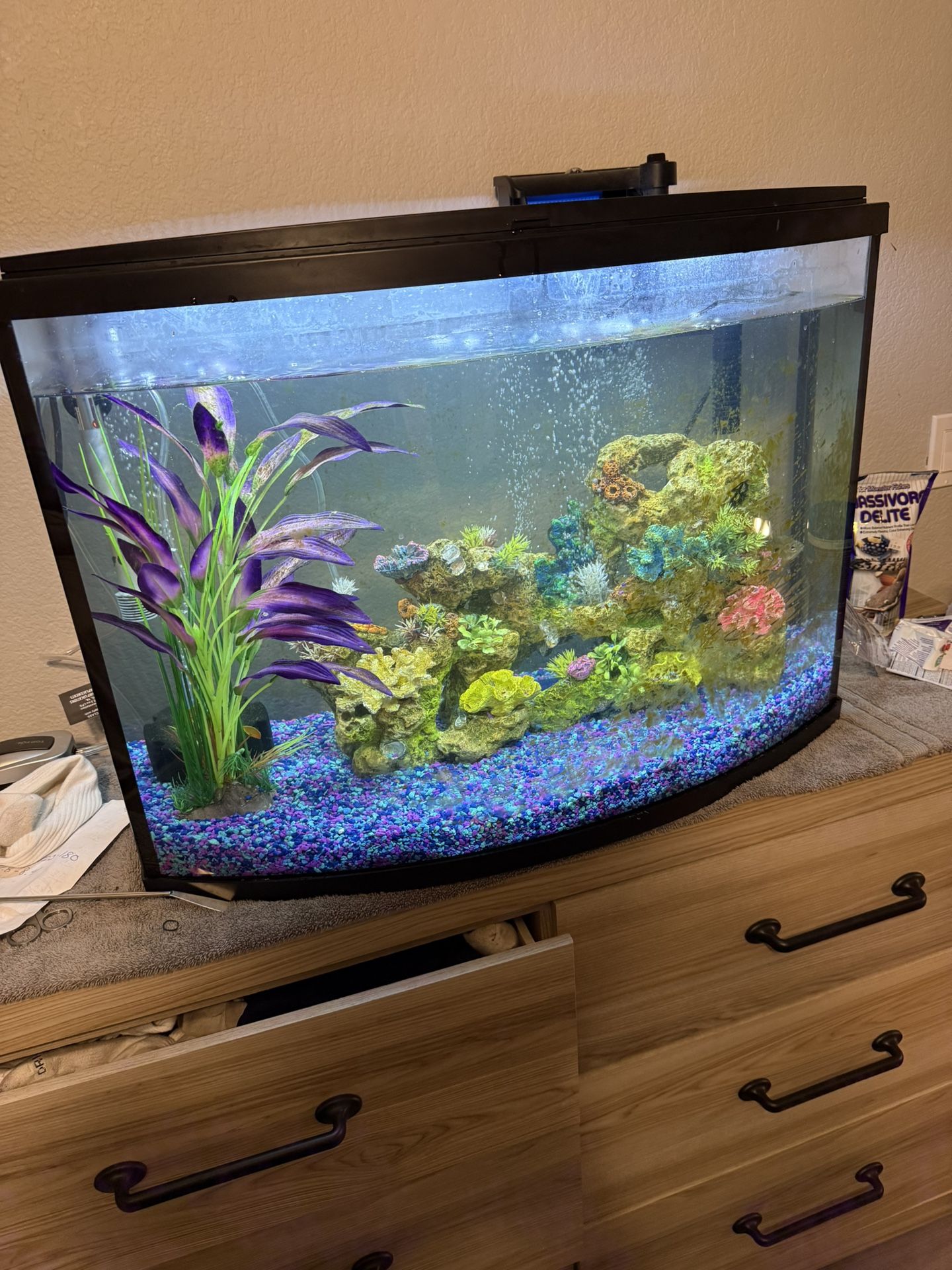 37 Gallon Fish Tank