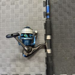 Fishing Rod & Reel (Silver Hawk)