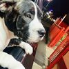 Amy_