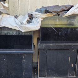 Free Fish Tanks