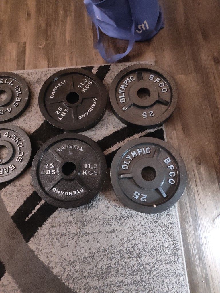 Hammer Curl Bar And 2 Dumbbell Bars With Weight