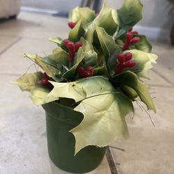 Small Plant Decoration 