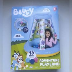 Bluey ball pit