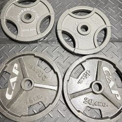 45lb Plates