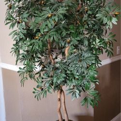 8' Silk Artificial Olive Tree 