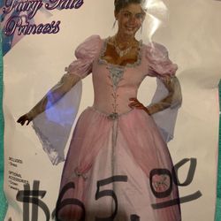 A fairytale princess Halloween costume for woman Size 14 to 16