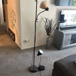 Floor Lamp And Desk Lamp 