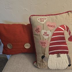 2 cute small pillows 