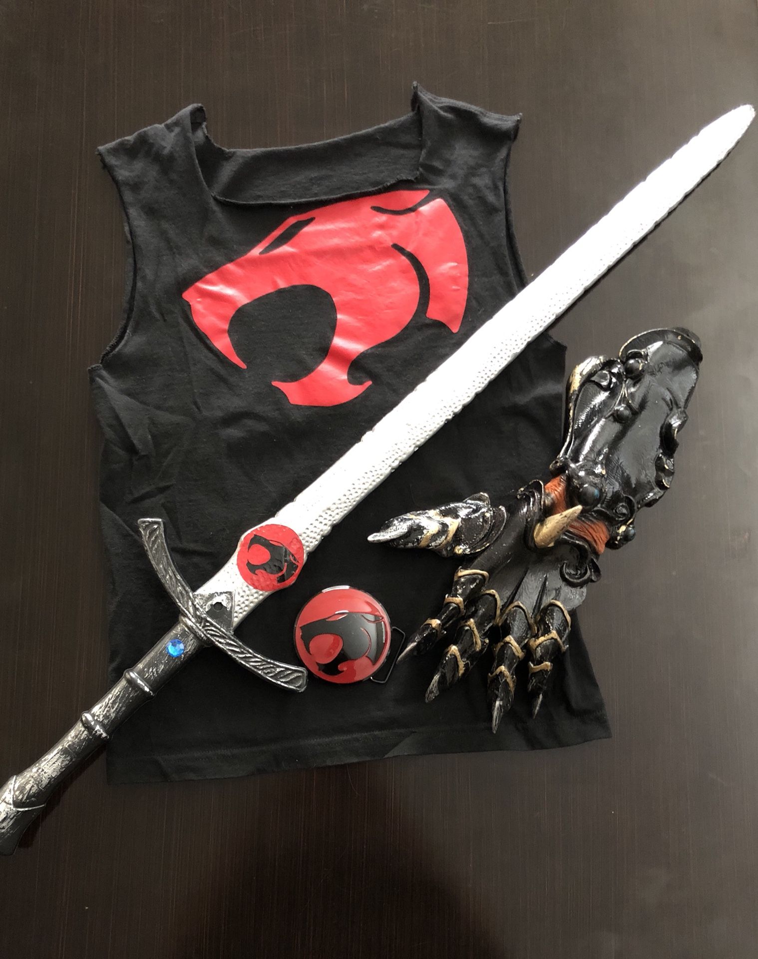 Thundercats Lion-O Halloween costume!