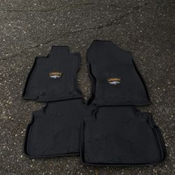 Forster Wilderness Liners 