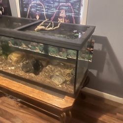 55 Gallon 