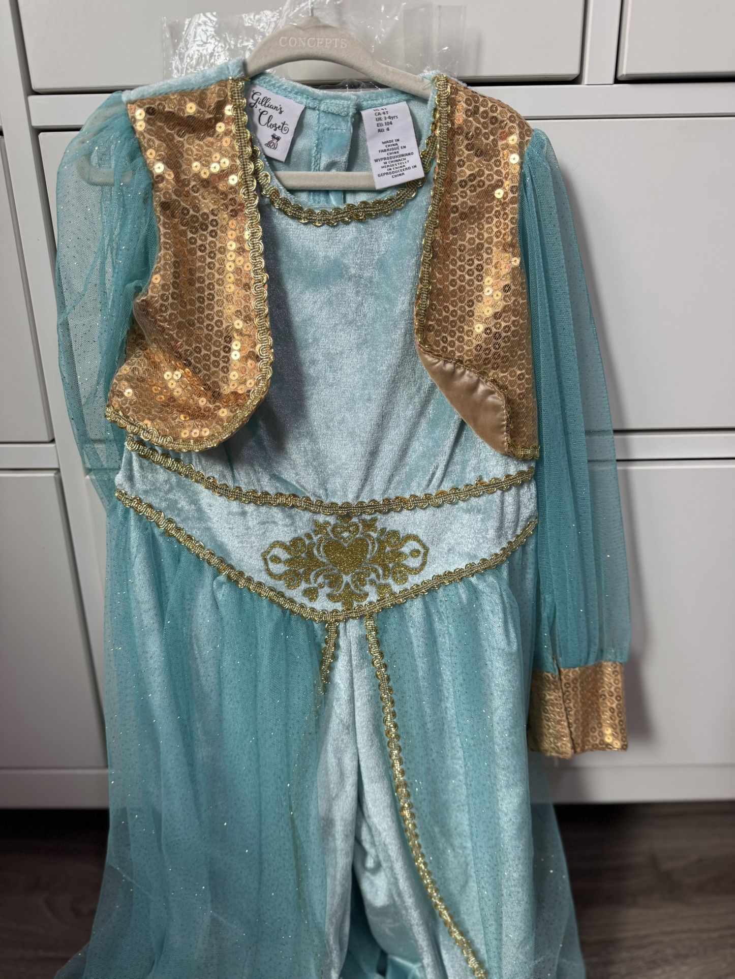 Jasmin Halloween Costume 