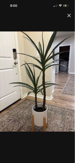Plant (fake)