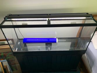55 gallon Aquarium  Masters with stand
