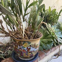 Asian Pot With Dendrobium orchid 