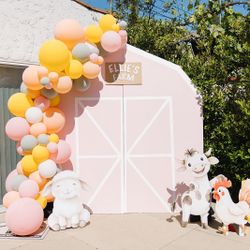 Large Pink Barn Backdrop 