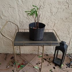 Garden Patio Ornaments 