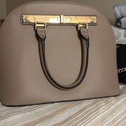 ALDO Bag