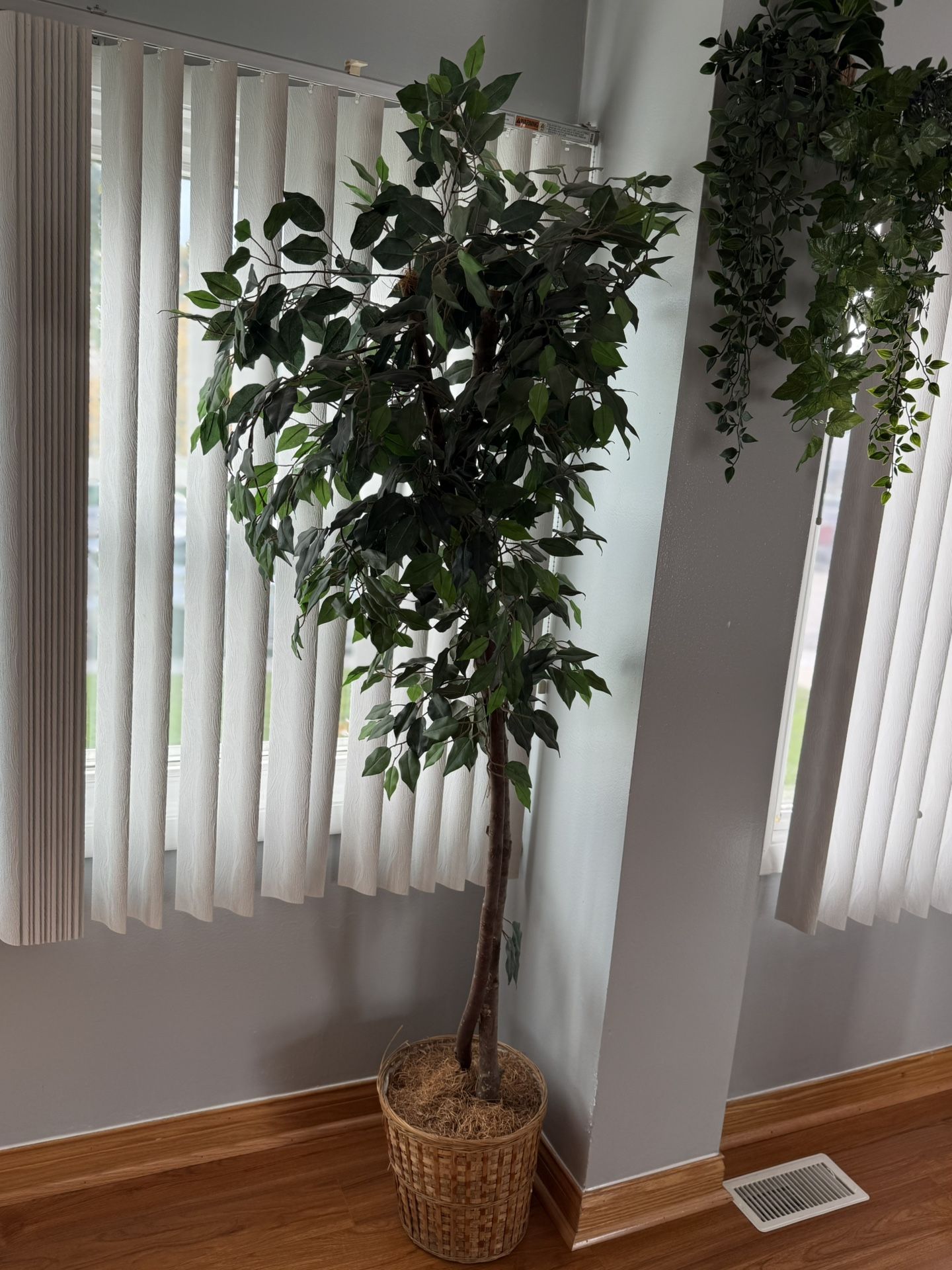 Faux Ficus Tree in Basket