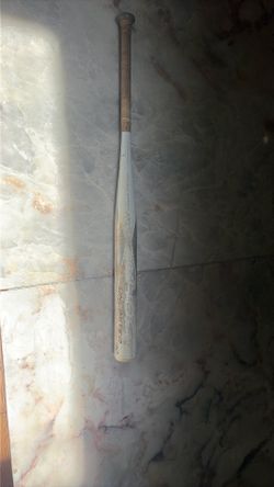 2023 Ghost bat