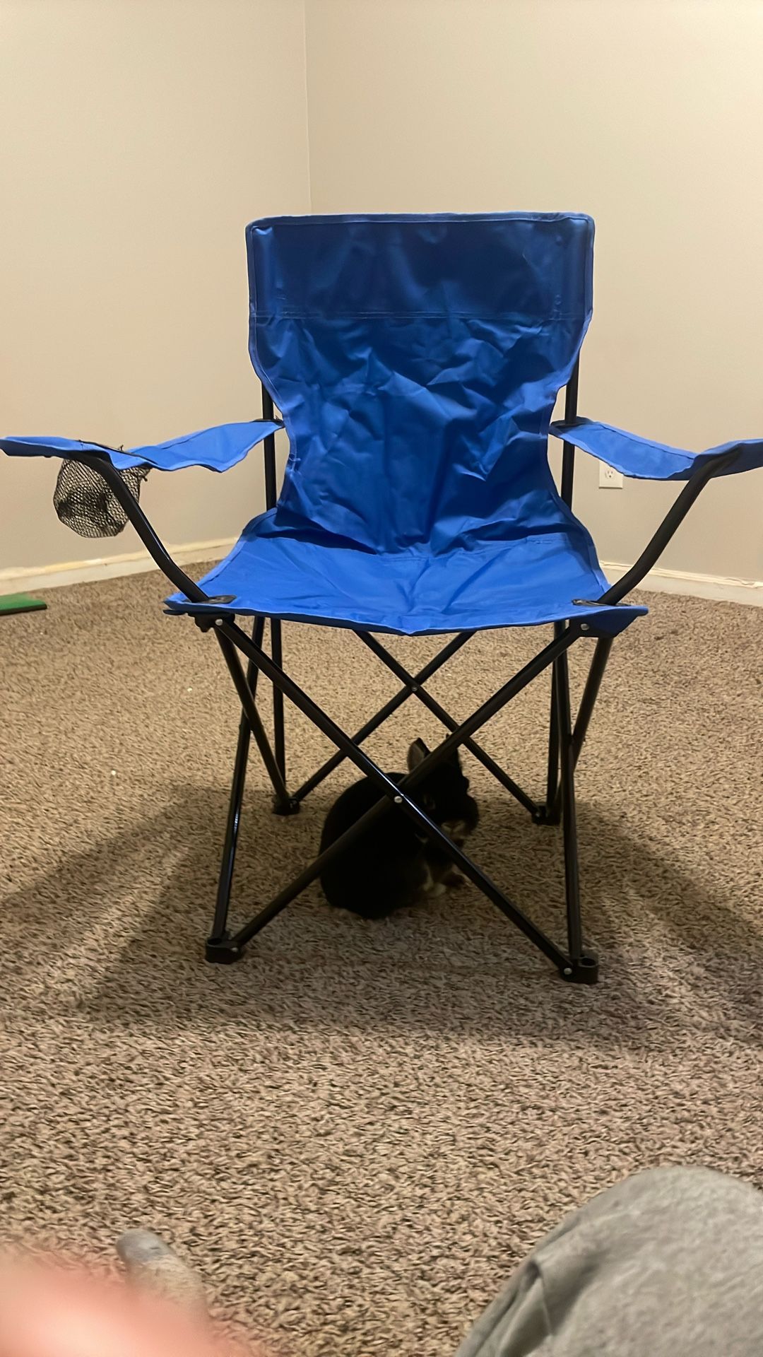 Royal Blue Outdoors Armchair 