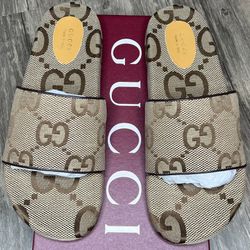 Gucci Slides Brand New With Box And Dust Cover 