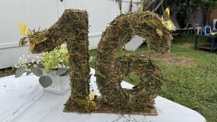 Forest/ Butterfly Theme 16