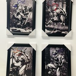 Teenage Mutant Ninja Turtles Frame Set