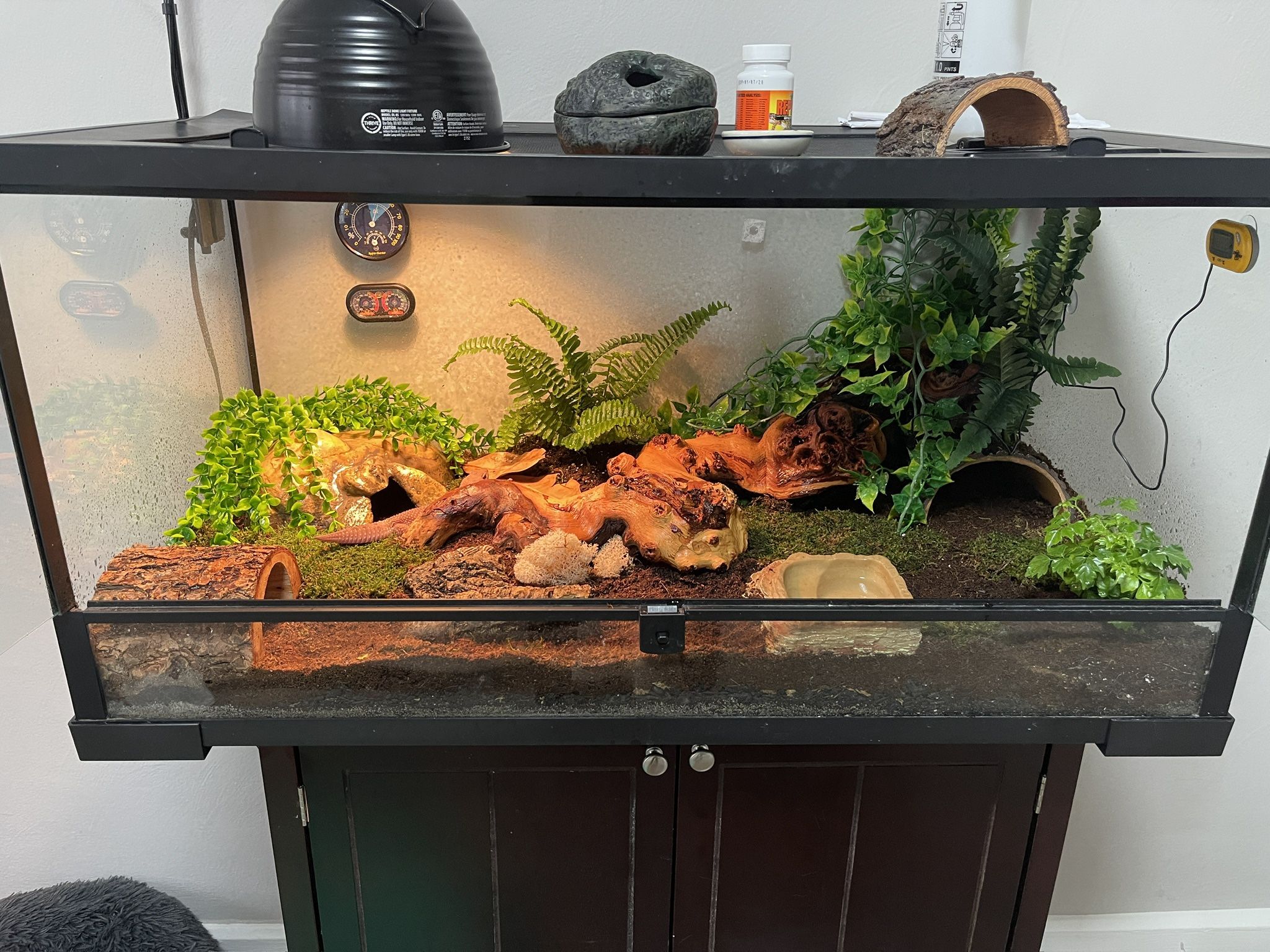 Reptile Tank 40 Gal