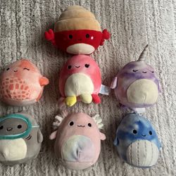 Ocean Squishmallows