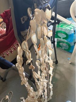 Nice real shells