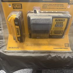 Dewalt battery and charger