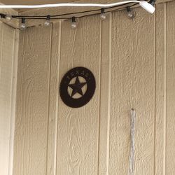 Texas Decor 