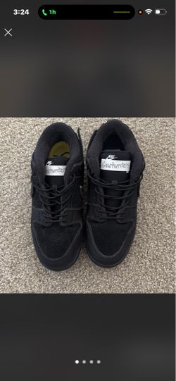 Nike GnarHunters Sneakers