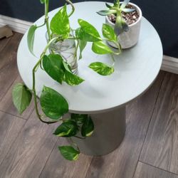 ($100 retail) Wooden Round Pedestal Accent Side Table - Hearth & Hand with Magnolia