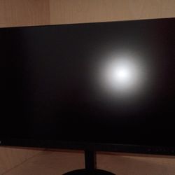 Lenovo ThinkVision Desktop