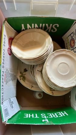 Dishes 8-12 place setting sangostone