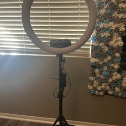 Ring light 