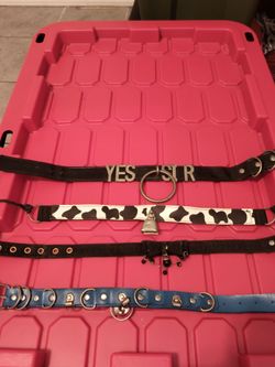 Lot of 4 Fashion Choker Collars